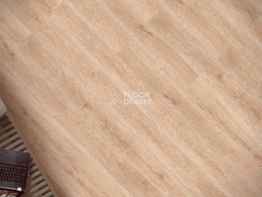 Кварцвиниловые полы Ecoclick Rich клеевой 2.5мм NOX-2078 Дуб Белфорт фото 1 | FLOORDEALER